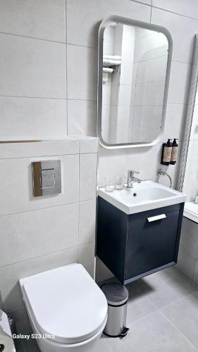 a bathroom with a toilet and a sink and a mirror at The Quay lodge in Wexford