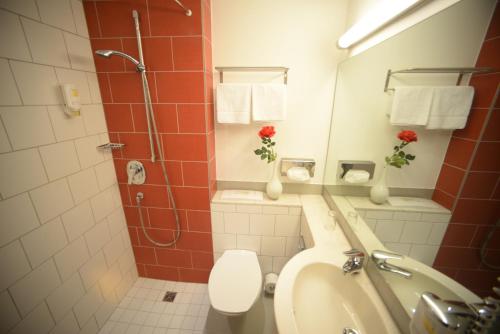 a bathroom with a toilet and a shower at L'Escala in Dreieich