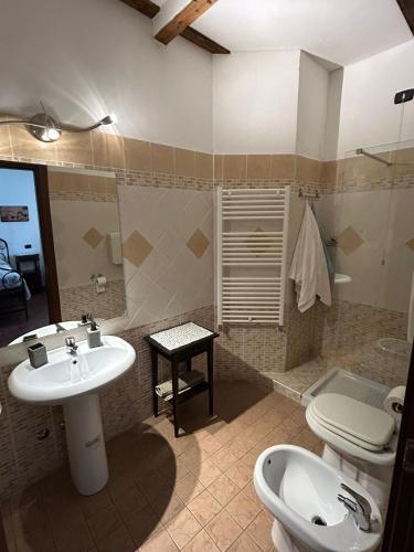a bathroom with a sink and a toilet at Ca'Silvia in San Savino