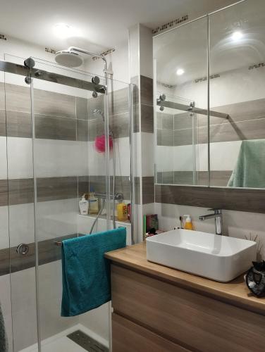 une salle de bain avec un lavabo et une douche en verre dans l'établissement T2 vue Pyrénées au Sud de Toulouse, à Toulouse