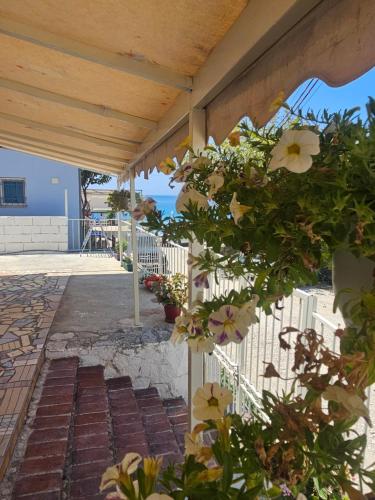 Gallery image of GuestHouse Borsh in Borsh
