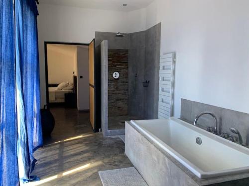 ein Badezimmer mit einer großen weißen Badewanne in einem Zimmer in der Unterkunft Calme et confort dans un écrin de verdure in Montferrier-sur-Lez