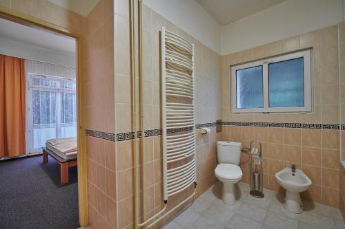a bathroom with a toilet and a window at Hotel Palace - KÚPELE SLIAČ in Sliač