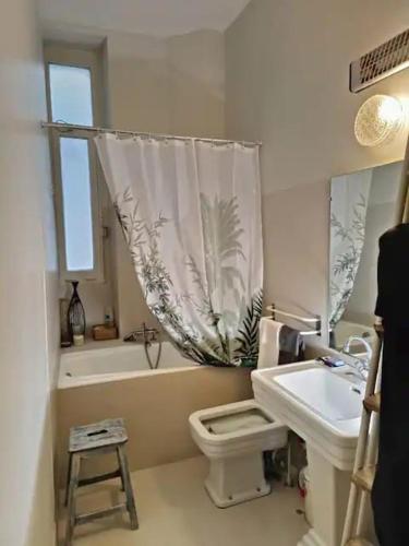 une salle de bain avec un lavabo, des toilettes et une baignoire dans l'établissement Appartement Notre Dame, à Paris