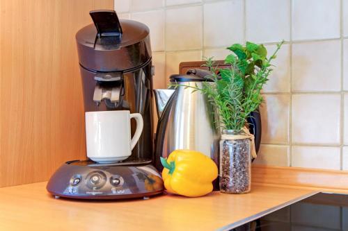 a coffee maker on a counter next to a vase with a plant at Apartment Landhotel Zum Storchennest in Bann
