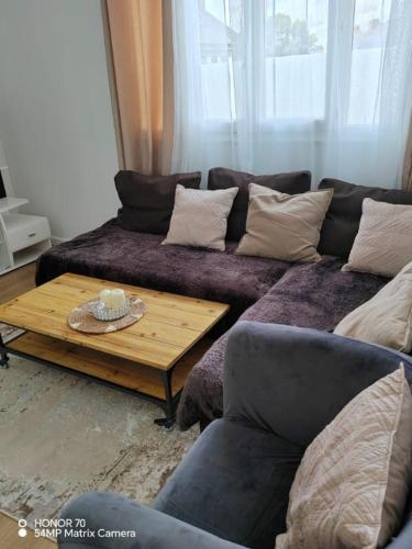 un salon avec un canapé et une table basse dans l'établissement Charmant appartement - Gare SNCF-RER et sites JO 2024, à Saint-Cyr-lʼÉcole