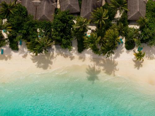 an aerial view of a beach with palm trees at Nova Maldives in Dhangethi