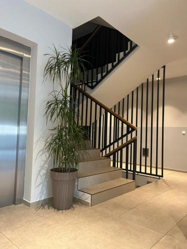 a staircase in a house with two potted plants at Regentova Suites Ljubljana in Ljubljana