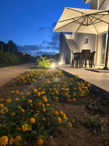 a house with an umbrella and some yellow flowers at Galaxy Rooms Tropea in Drapia
