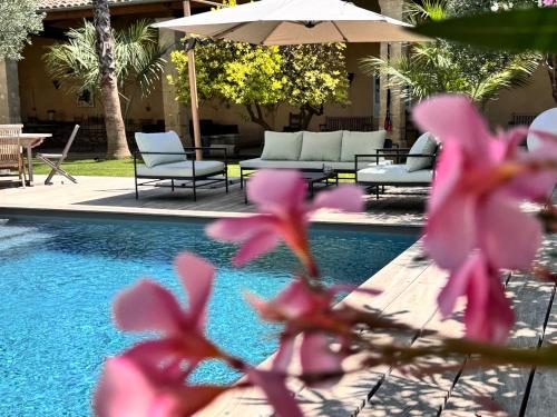 - une piscine avec des fleurs roses, des chaises et un parasol dans l'établissement camarina-lodging, à Beauvoisin