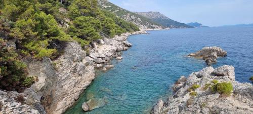 an aerial view of a rocky shore with blue water at Summer Park Residence Peljesac in Orebić