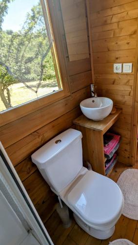 une salle de bain avec toilettes et lavabo dans l'établissement Roulotte du Mas Rondole, à Saillagouse