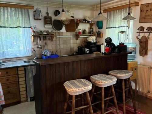 a kitchen with a counter and stools in a room at Danube Villa with swimming pool in Pasuljište