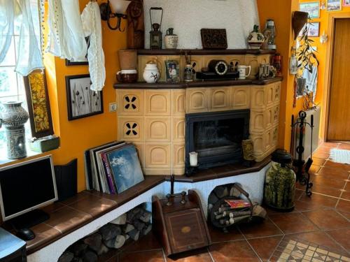 a living room with a fireplace and a tv at Danube Villa with swimming pool in Pasuljište