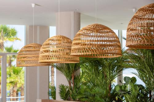 three wicker pendant lights hanging over a plant at Lixus Beach Resort - All In in Larache