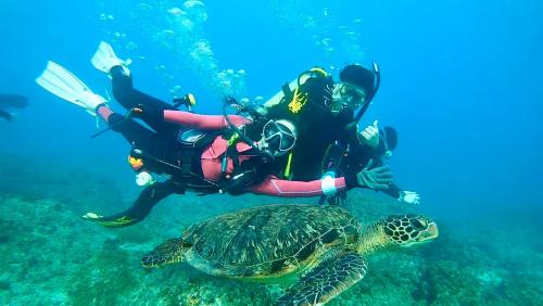a green sea turtle and two people in the water at Travel Light Bubble Diving Center in Xiaoliuqiu