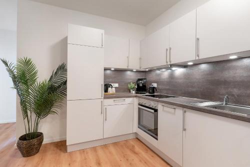 フライブルク・イム・ブライスガウにあるKm Style Apartments 5の白いキャビネットと鉢植えの植物が備わるキッチン