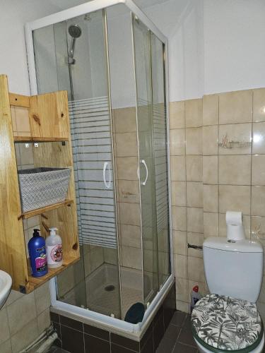 une douche dans une salle de bain avec toilettes et lavabo dans l'établissement 49 studio centre-ville BOX A BAGAGES GRATUITS, à Carcassonne