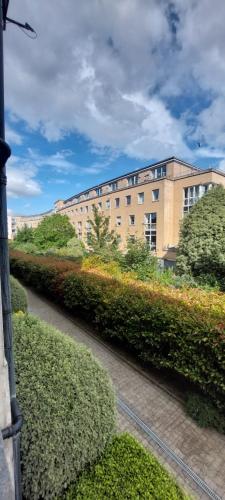 a building with a row of bushes in front of it at Spacious Riverside 1Bd in Bustling Village in Dublin
