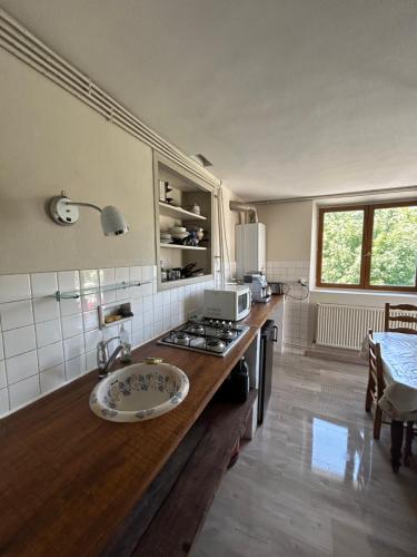 - une cuisine avec un comptoir, un évier et une cuisinière dans l'établissement 100metres du château au 116 Rue de la République vizille, à Vizille