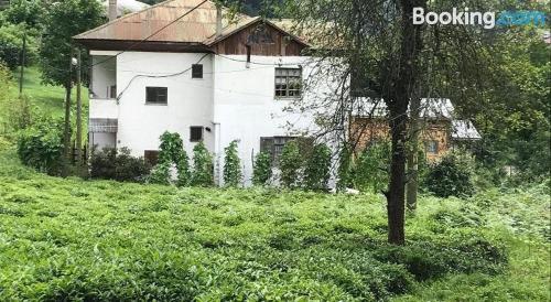 Taman di luar burda kendine geleceksin