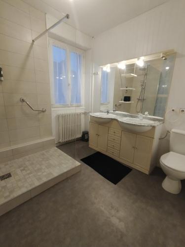 une salle de bain avec un lavabo, des toilettes et un miroir dans l'établissement résidence bregeroise 5, à Limoges