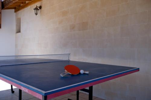 Kemudahan pingpong di Amalia Villa atau berdekatan