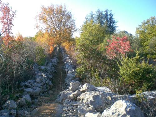 a rocky trail in a forest with trees at Gîte du Ranc de Figère in Labeaume