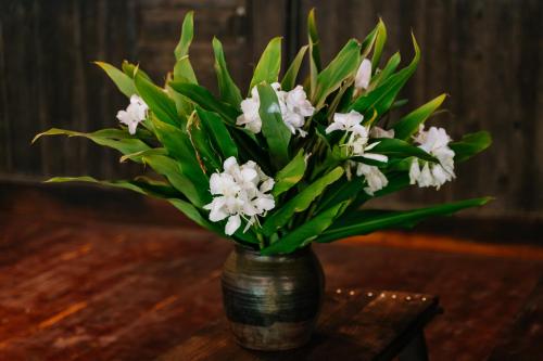 a vase filled with white flowers on a table at Ha Giang Xanh Retreat - Trekking, Tour, Motorbike Rental in Ha Giang