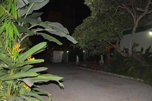 a courtyard at night with trees and plants at Manuela Residence in Lagos