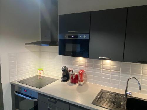 une cuisine avec un évier et un plan de travail dans l'établissement Paris - Stade de France, à LʼÎle-Saint-Denis