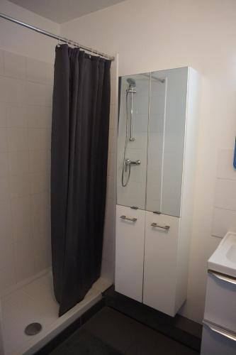 une salle de bain avec une douche avec un rideau de douche dans l'établissement Paris - Stade de France, à LʼÎle-Saint-Denis