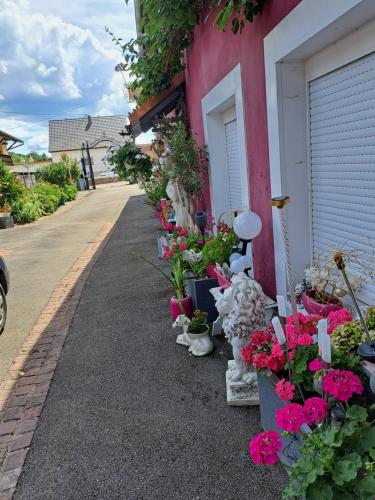 DOMAINE du VIEUX MOULIN