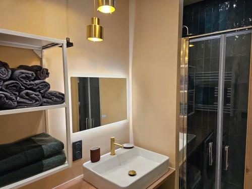 une salle de bain avec un lavabo et une douche dans l'établissement Description Maryse Bastié, à Lyon