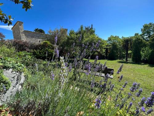 a garden with purple flowers in front of a building at B&b La Baronata - Pescosansonesco (Pe) in Pescosansonesco