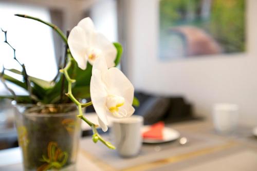 a vase with white flowers sitting on a table at Ferienwohnung 'Ferien bei Buske' in Tellingstedt