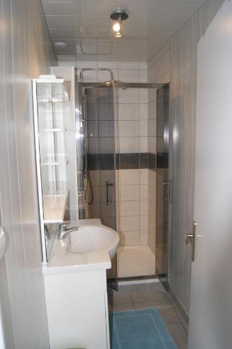 a bathroom with a sink and a shower at Résidence les Charmettes in Mers-les-Bains