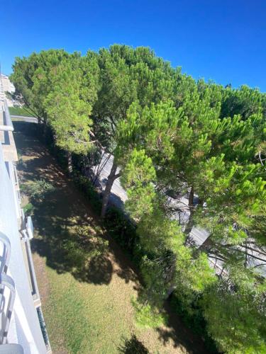 Photo de la galerie de l'établissement Appartement climatisé avec 2 chambres, à Avignon