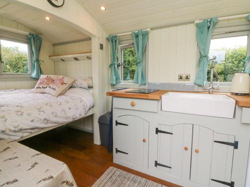 a small bedroom with a sink and a bed at Cuckoo's Nest in Barnstaple