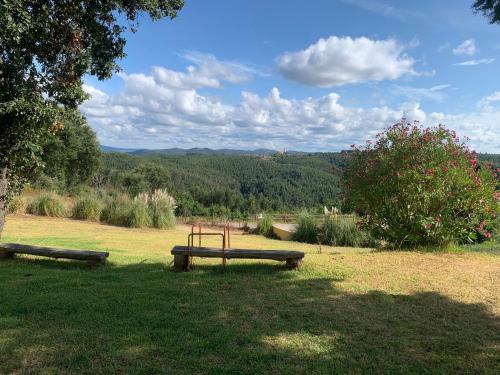 a park with two benches in a grass field at Cottage da Fonte Seca in Ferreira do Zêzere