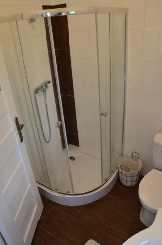a shower stall in a bathroom with a toilet at Stara Pastorówka in Dąbki