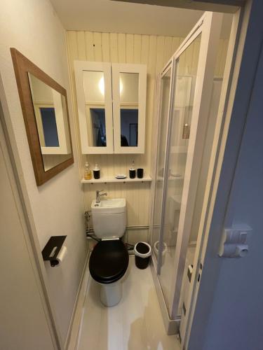 une salle de bain avec toilettes et douche en verre dans l'établissement Charmant studio en plein cœur de Chambéry, à Chambéry