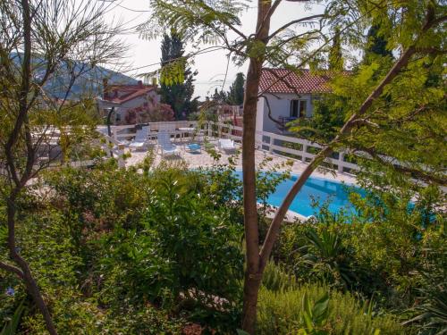 vistas a la piscina desde el jardín en Villa Clematis, en Trogir
