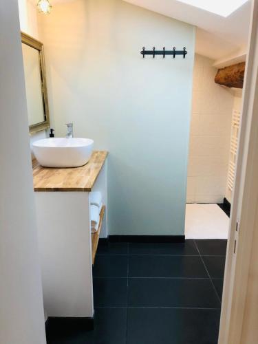 une salle de bain avec un lavabo blanc et un miroir dans l'établissement La Magnanerie, à Montoison