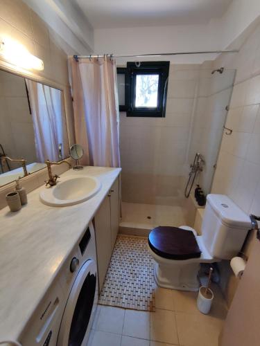 a bathroom with a toilet and a sink at Casa Katerina 1892 in Poros