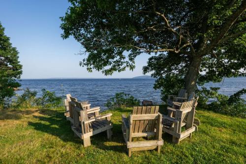 a group of chairs sitting under a tree near the water at Fireside Inn, Ocean's Edge in Belfast