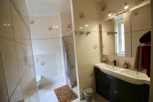 a bathroom with a shower and a sink and a mirror at Aggarthi Bed and Breakfast in Bayeux