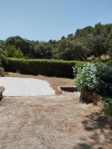 un jardin avec des fleurs blanches et un chemin de pierre dans l'établissement Teva 83, à Saint-Raphaël
