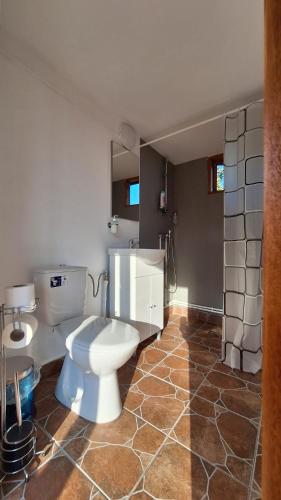 a bathroom with a toilet and a sink at Vaideeni Glamping in Izvoru Rece