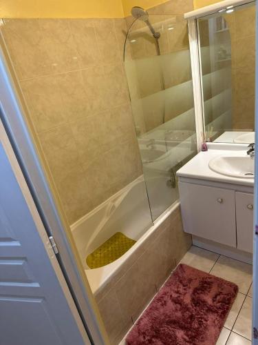 une salle de bain avec douche et lavabo dans l'établissement Chambre meublée cuisine 20 minutes de Disneyland 2, à Champs-sur-Marne